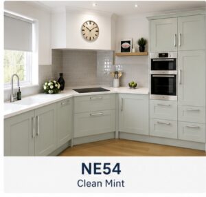 NE54